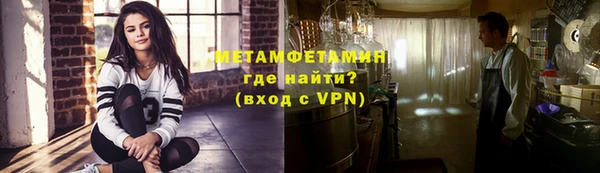 прущие грибы Горняк