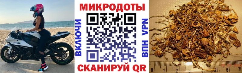 Псилоцибиновые грибы прущие грибы  Жуков 